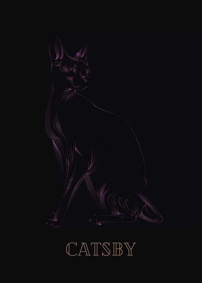 Catsby Purple on Black