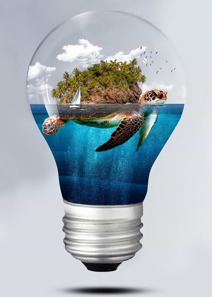 Turtle Island in the light