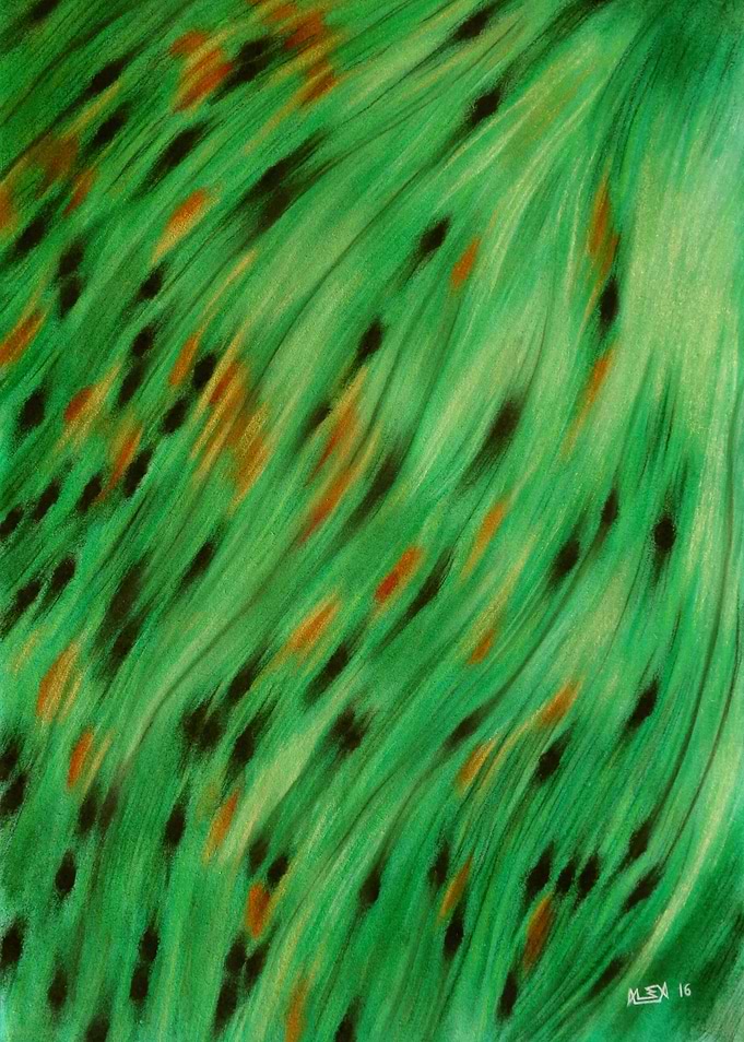 Texture 2 - Fish Tail