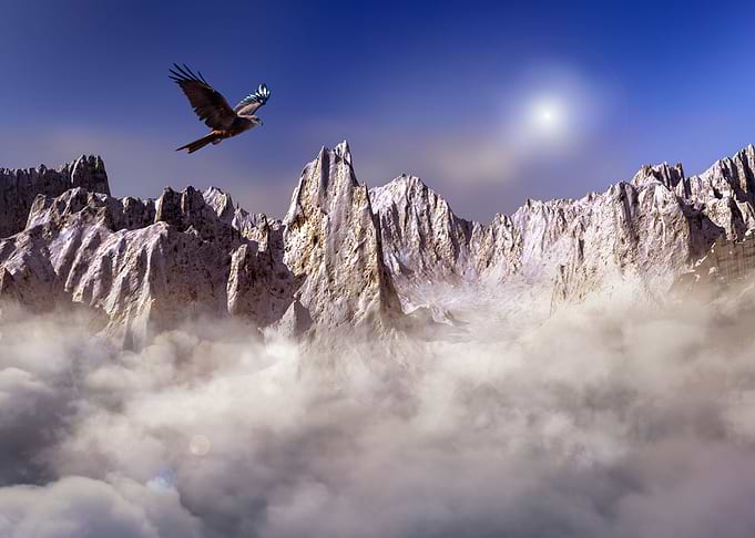The raptors flight