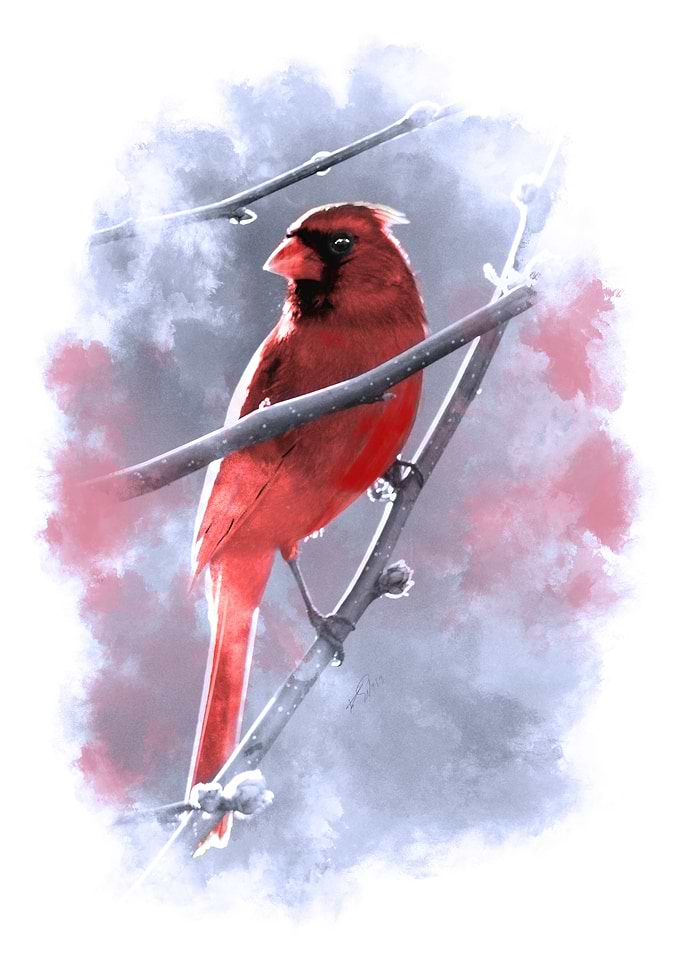Cardinal