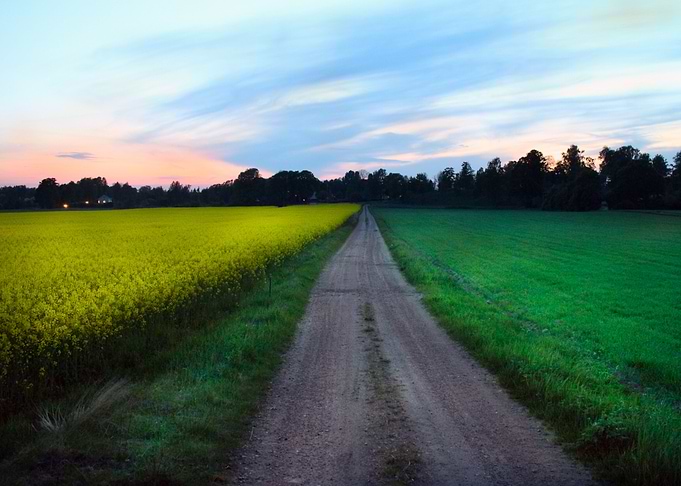 Road to rest