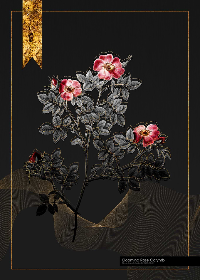 Blooming Rose Corymb