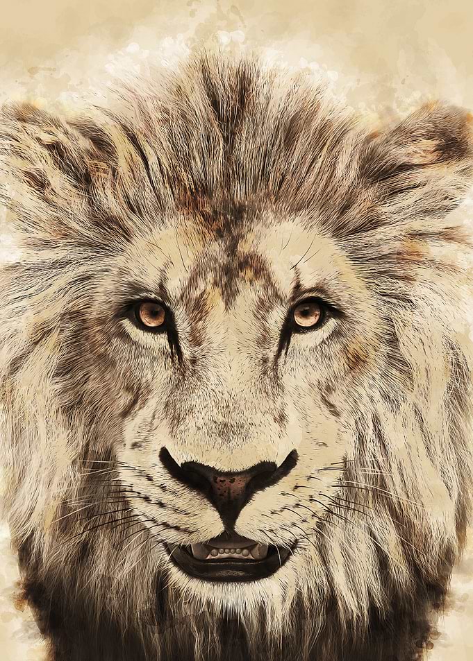 Lion retro
