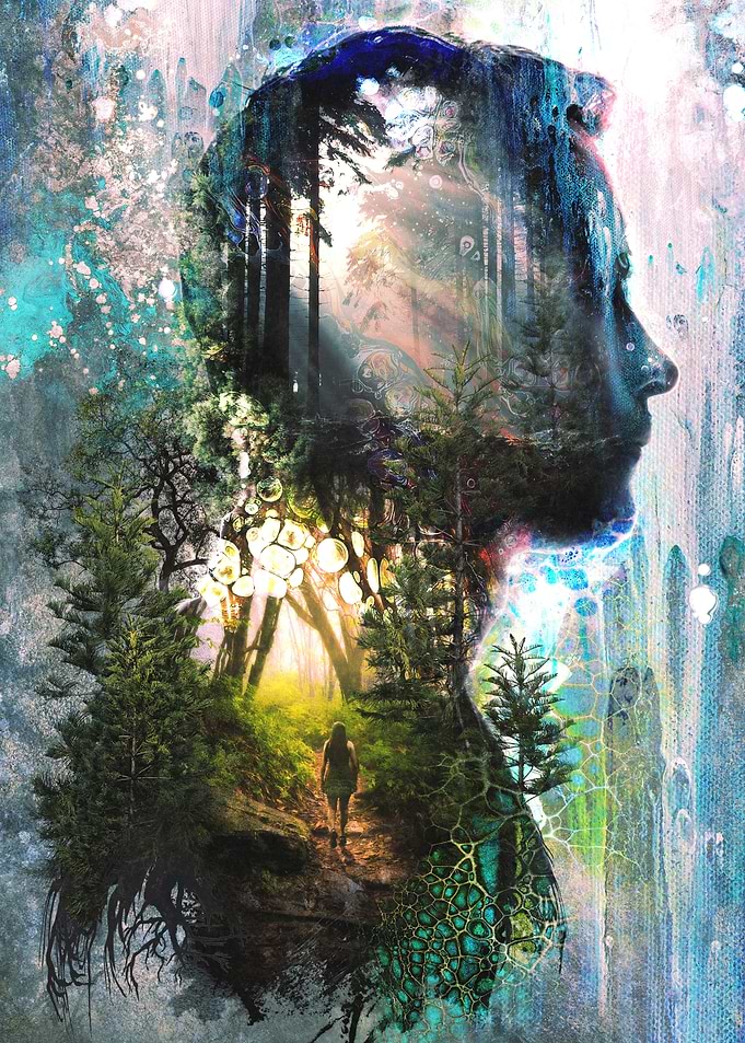Forest Memories