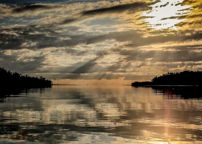 Sun burns through the mist