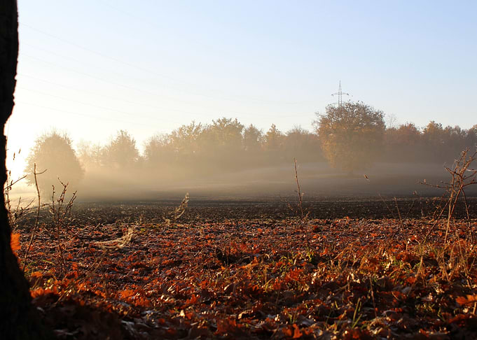 Magia del mattino