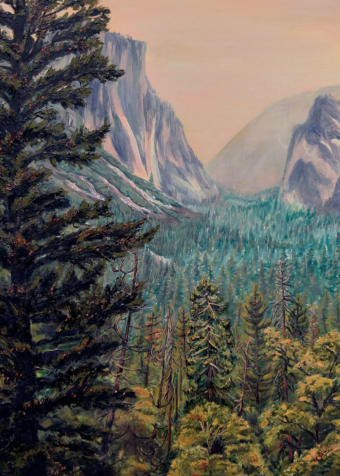 Forest Fire at Yosemite