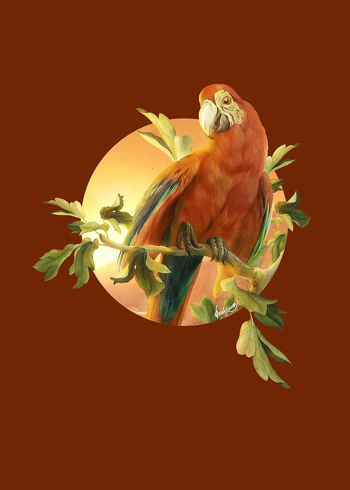 Parrot 2