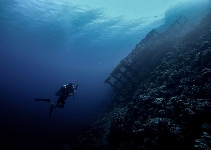 Diver