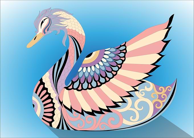 fly beautiful