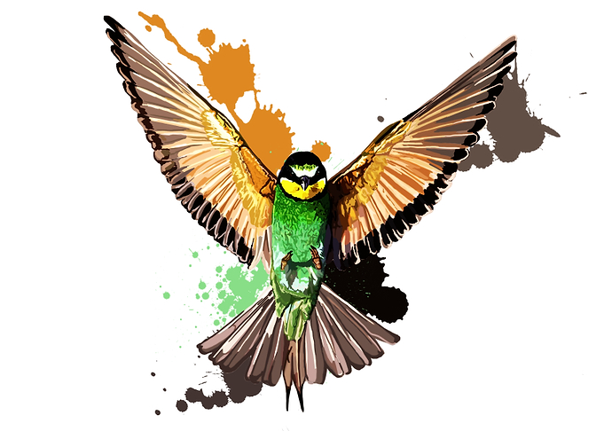 Colorful bird portrait
