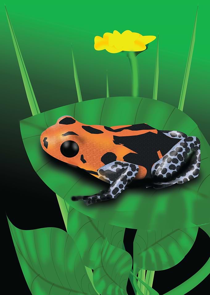 Frog pose