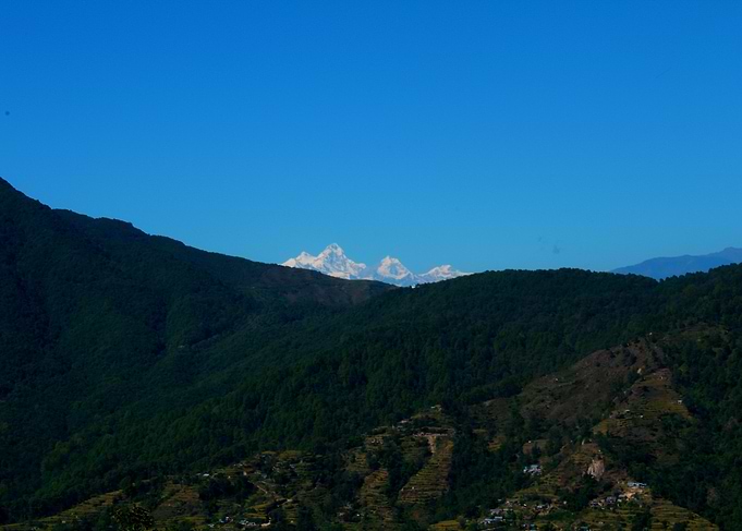 Himalayan