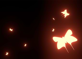 butterfly