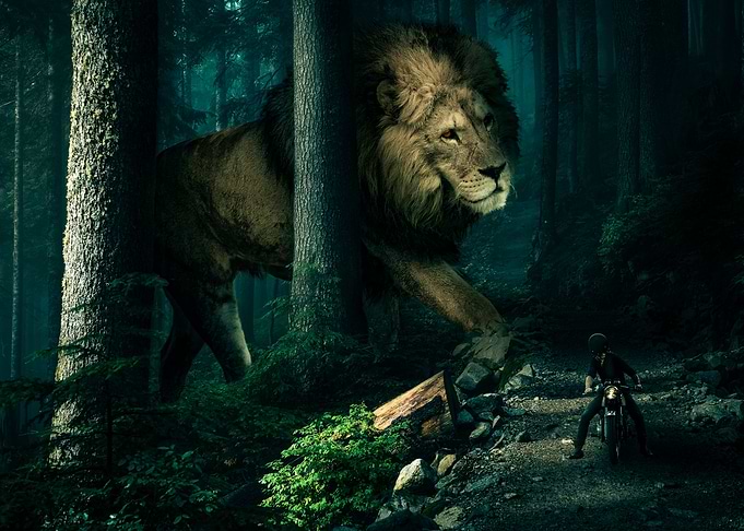Lion in the Forest