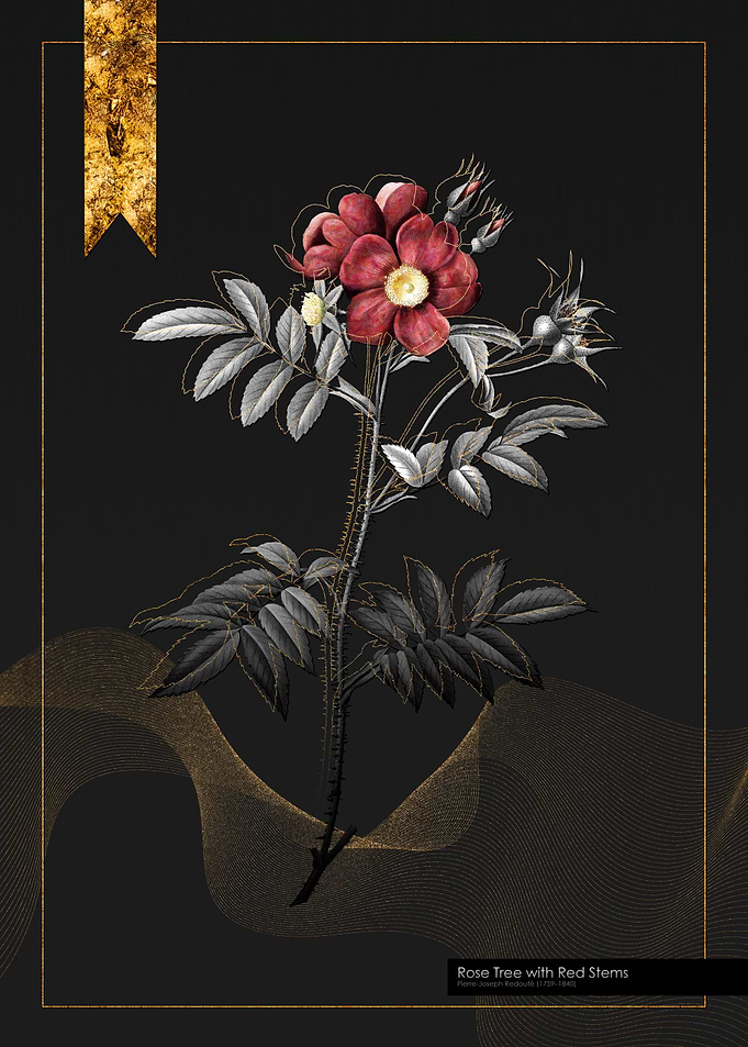 Rose Tree with Red Stems