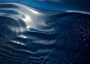 Ocean waves
