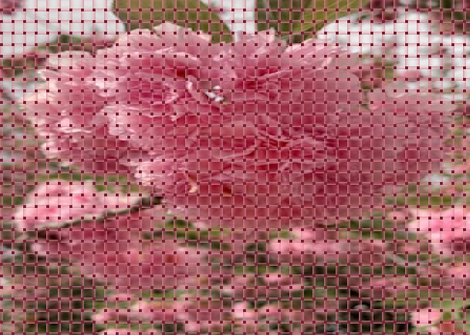 Pink weave