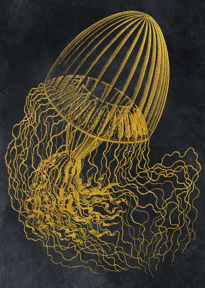 Gold medusa