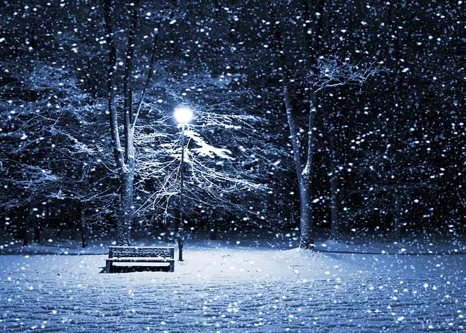 winter landscape