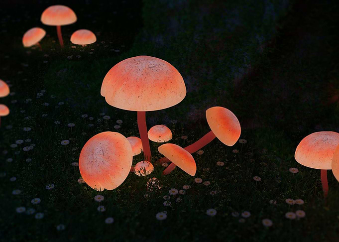 mushroom