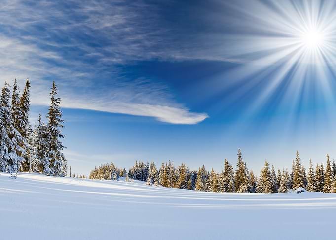 winter landscape