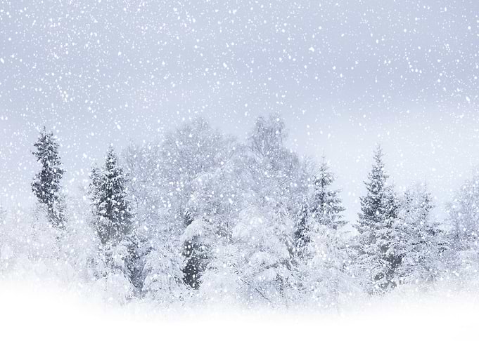 winter landscape