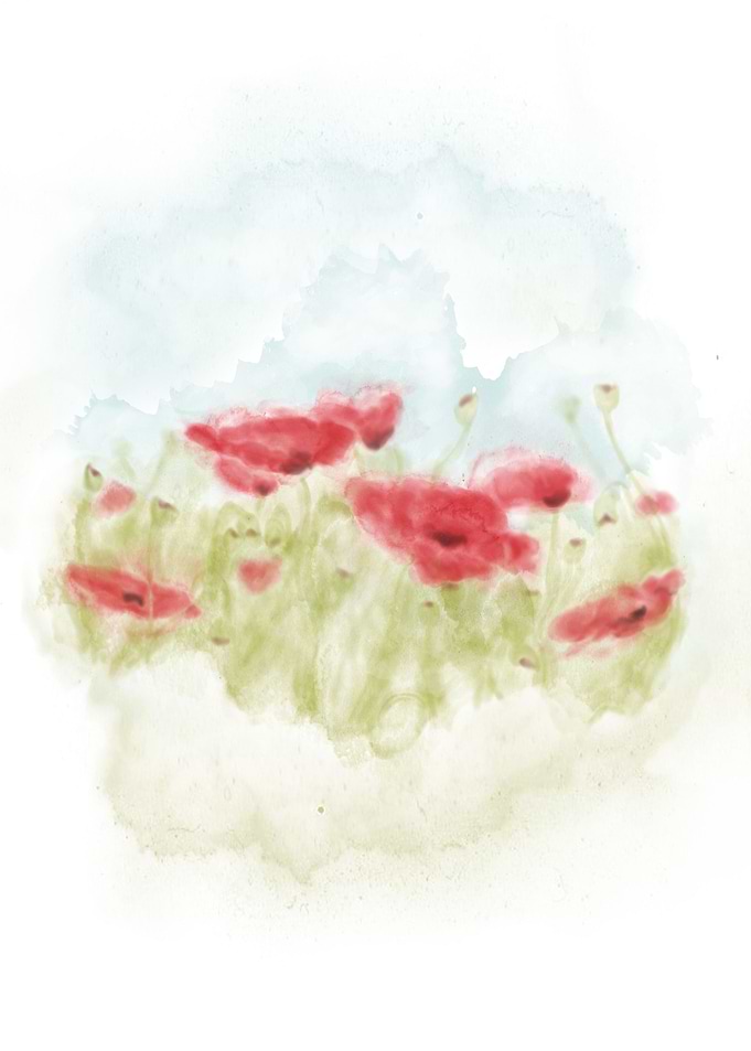 Poppy Field
