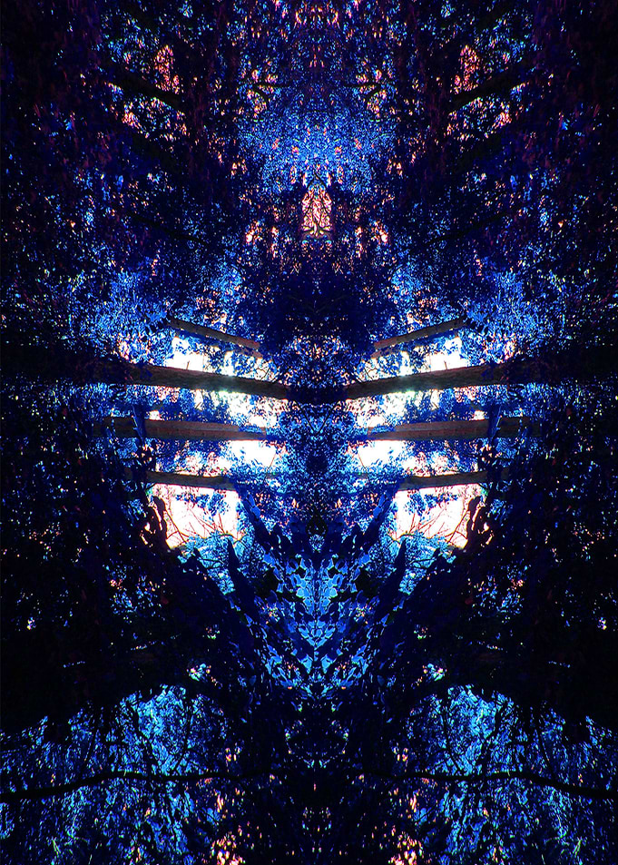 Alien Blue Forest