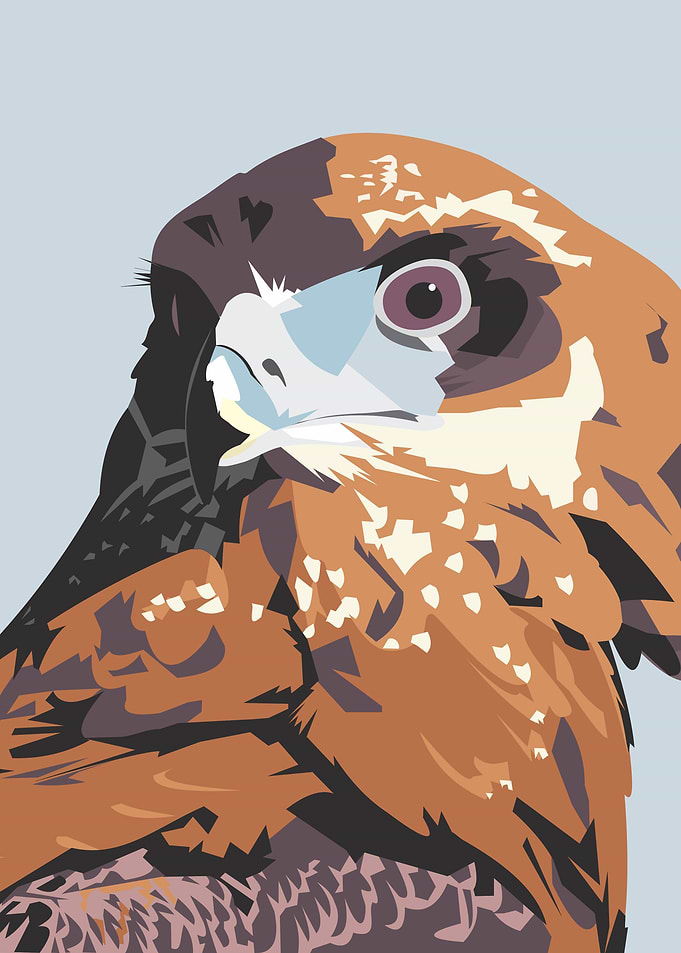 Bird of Prey in browns
