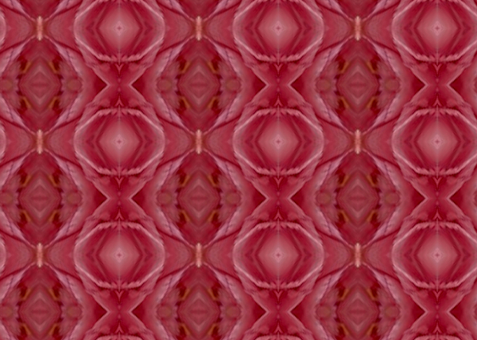 Pink Swirl