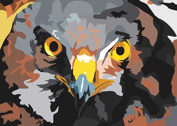 Bird of Prey