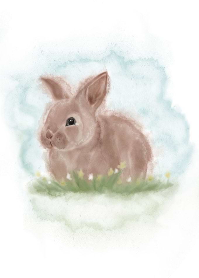 Little Bunny Rabbit