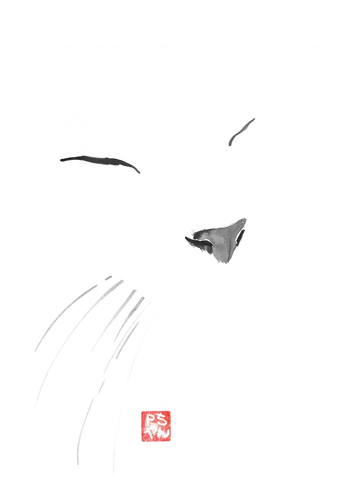 cat in white 02