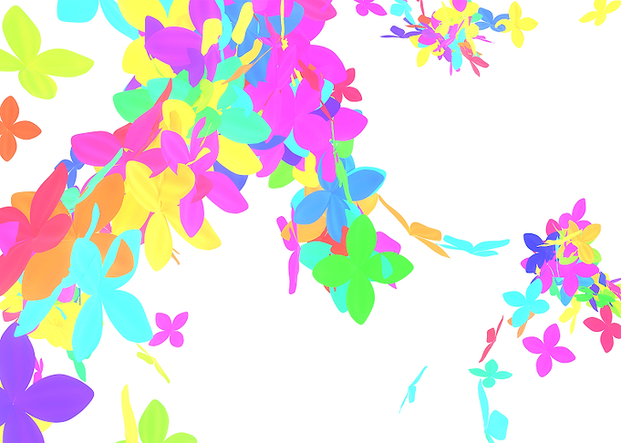 Color of Flowers