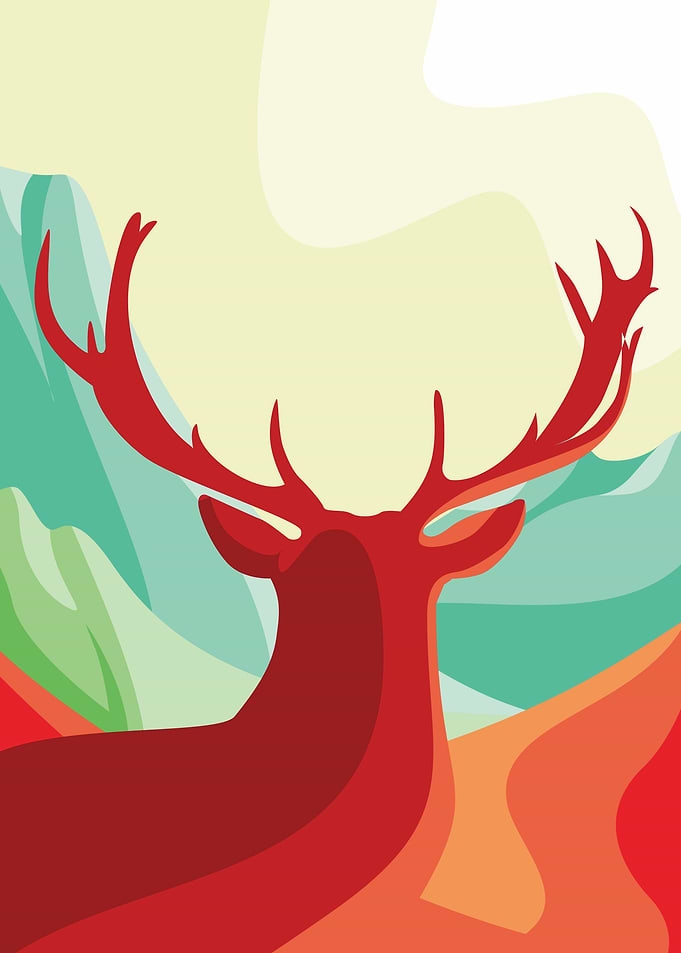 Deer 1
