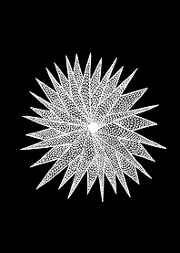 Line Pattern Star