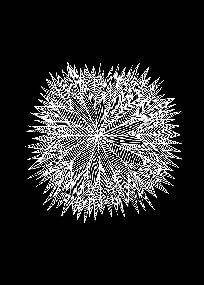 Prickly Star