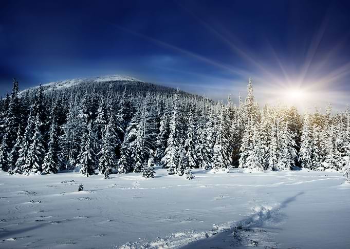 winter landscape