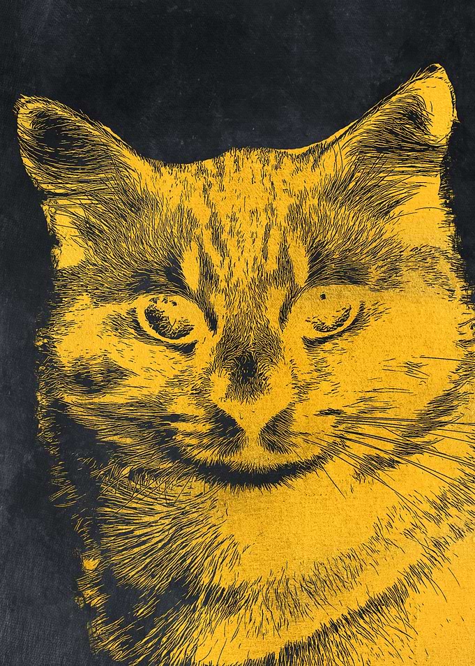 Gold cat