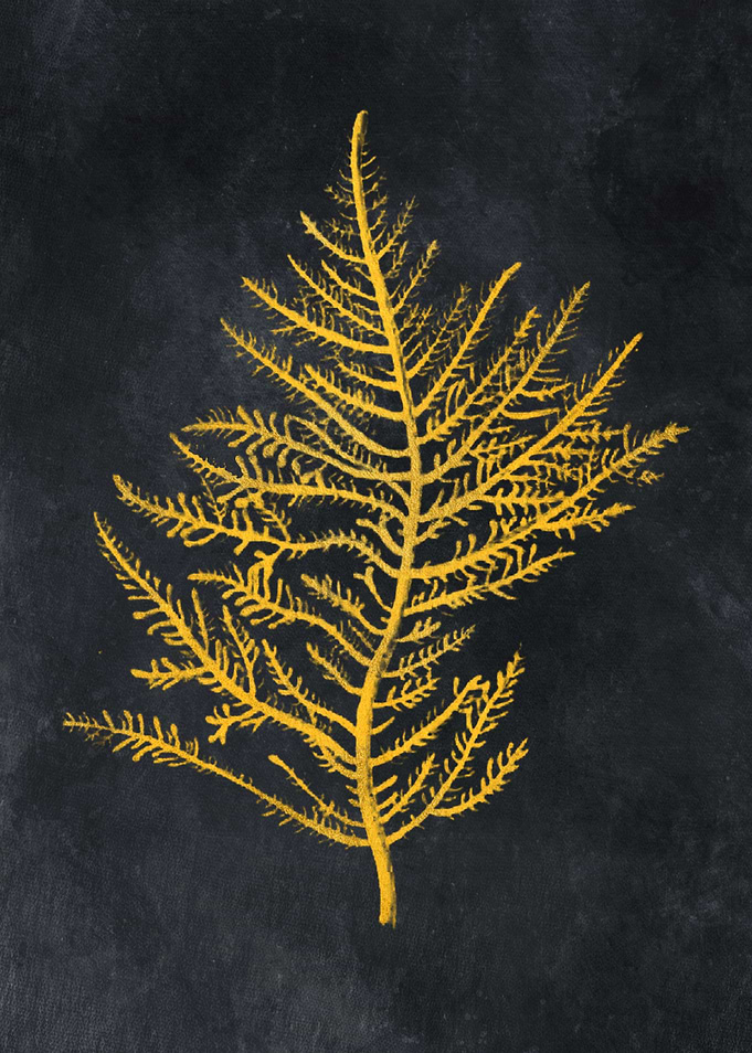 Gold flora