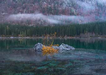 Misty Lake