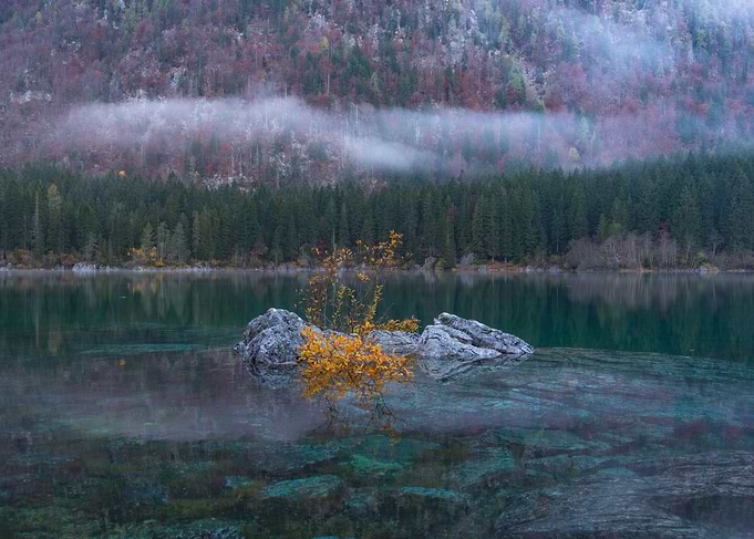 Misty Lake