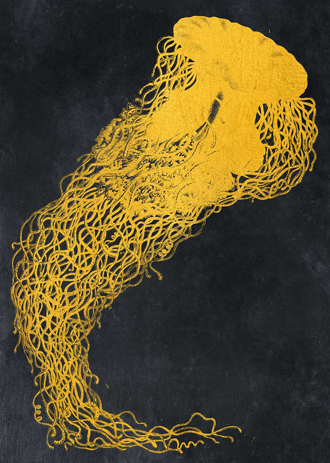 Medusa art