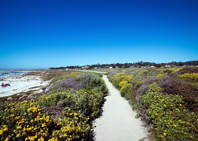 This Is America