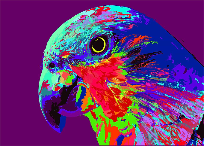 Pop Parrot