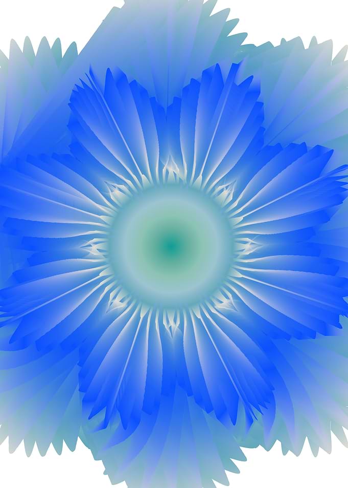 Cosmic floral fantasy