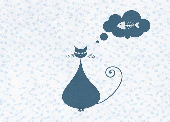 Cat and fish