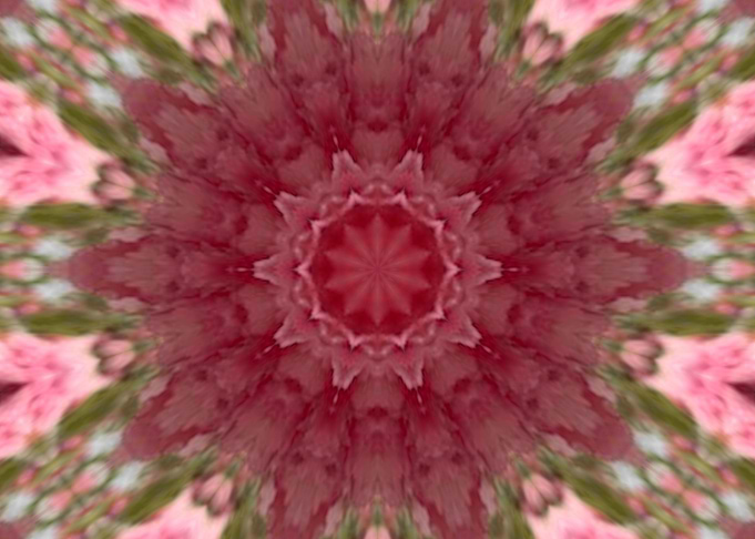 Pretty pink